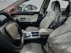 جيتور داشينج